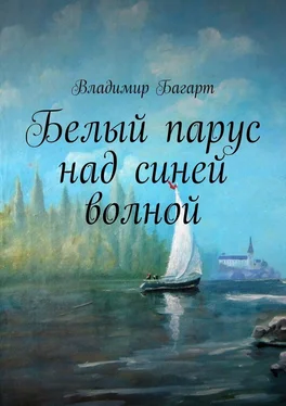 Владимир Багарт Белый парус над синей волной обложка книги