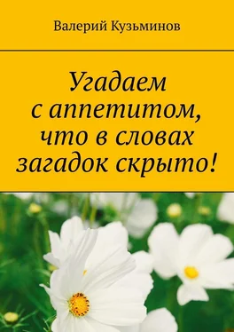 Валерий Кузьминов Угадаем с аппетитом, что в словах загадок скрыто! обложка книги