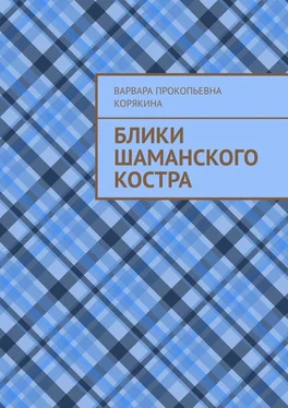 Варвара Корякина Блики шаманского костра обложка книги