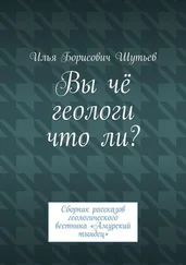 Илья Шутьев - Вы чё геологи что ли? Сборник рассказов геологического вестника «Амурский тындец»