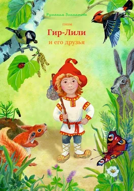 Рушания Зиннатова Гном Гир-Лили и его друзья обложка книги