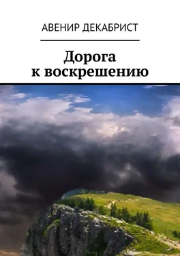 Авенир Декабрист Дорога к воскрешению обложка книги