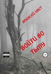 Алексей Наст - Войти во тьму