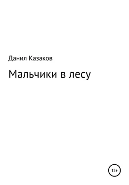 Данил Казаков Мальчики заблудились обложка книги