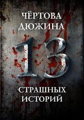 Герман Шендеров - Чертова дюжина. 13 страшных историй