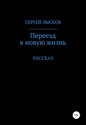Сергей Лысков - Переезд в новую жизнь