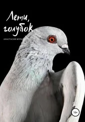 Анастасия Муравьева - Лети, голубок