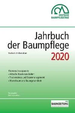 Неизвестный Автор Jahrbuch der Baumpflege 2020 обложка книги