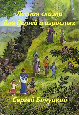 Сергей Бичуцкий Лесная сказка для детей и взрослых обложка книги