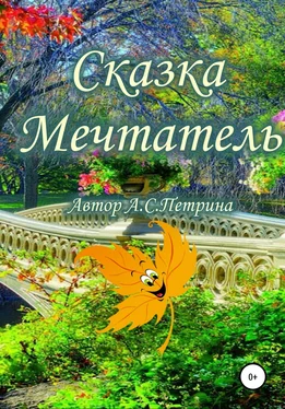 Алёна Петрина Мечтатель обложка книги