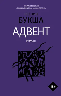 Ксения Букша Адвент обложка книги