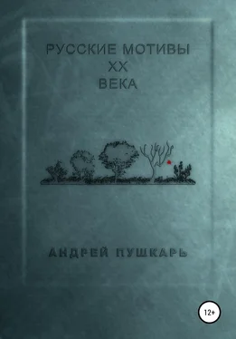 Андрей Пушкарь Русские мотивы ХХ века обложка книги