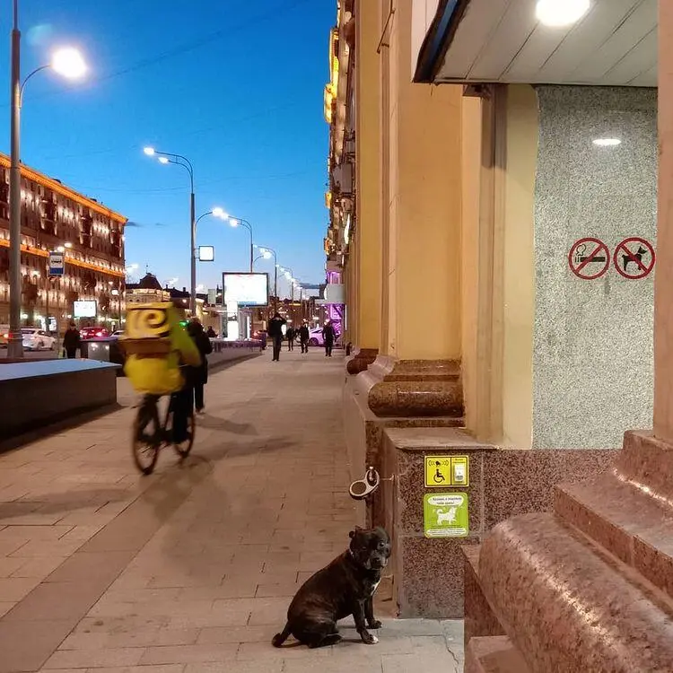 2 2 Фото из личного архива автора В дни когда сделано это фото в Италии был - фото 1
