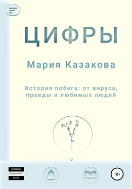 Мария Казакова Цифры обложка книги