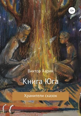 Виктор Харин Книга Юга обложка книги