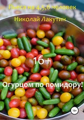 Николай Лакутин - Огурцом по помидору! Пьеса на 4,5,6 человек