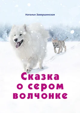 Наталья Завершинская Сказка о сером волчонке обложка книги