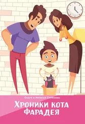 Хроники Странствующего Кота Купить Книгу