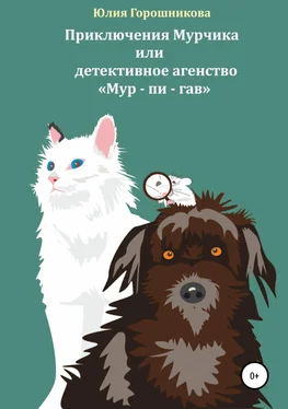 Юлия Горошникова Приключения Мурчика или детективное агенство «Мур – пи – гав» обложка книги