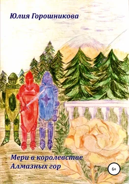 Юлия Горошникова Мери в королевстве Алмазных гор обложка книги