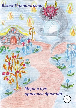 Юлия Горошникова Мери и дух красного дракона обложка книги