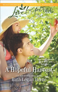 Ruth Logan A Hopeful Harvest обложка книги