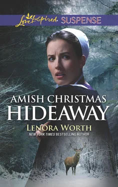 Lenora Worth Amish Christmas Hideaway обложка книги