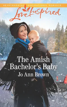 Jo Ann The Amish Bachelor's Baby обложка книги