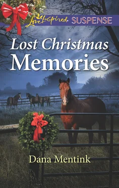 Dana Mentink Lost Christmas Memories обложка книги