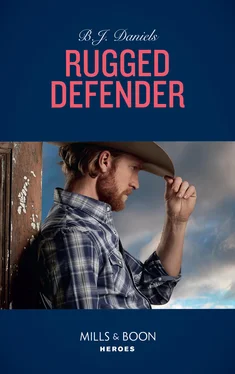 B.J. Daniels Rugged Defender обложка книги