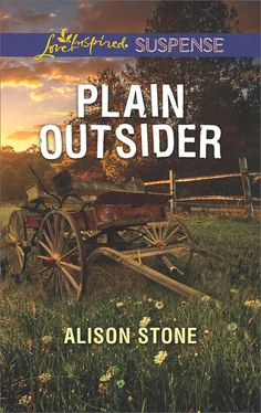 Alison Stone Plain Outsider обложка книги
