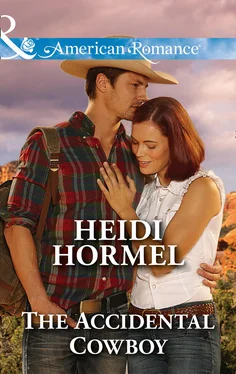 Heidi Hormel The Accidental Cowboy обложка книги