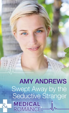Amy Andrews Swept Away By The Seductive Stranger обложка книги