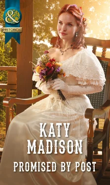 Katy Madison Promised by Post обложка книги