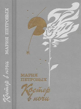 Мария Петровых Костер в ночи обложка книги