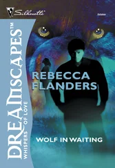 Rebecca Flanders - Wolf In Waiting