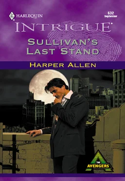Harper Allen Sullivan's Last Stand обложка книги