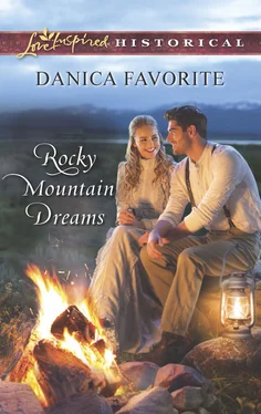 Danica Favorite Rocky Mountain Dreams обложка книги