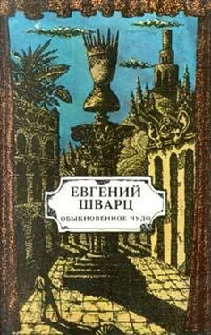 Евгений Шварц Тень обложка книги