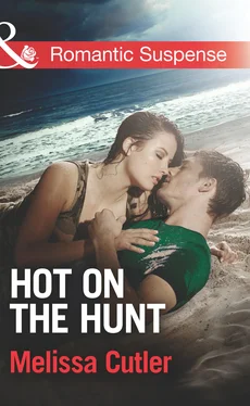 Melissa Cutler Hot on the Hunt обложка книги