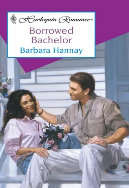 Barbara Hannay Borrowed Bachelor