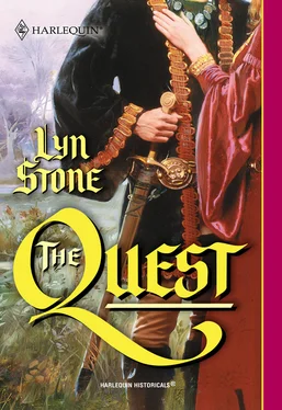 Lyn Stone The Quest обложка книги