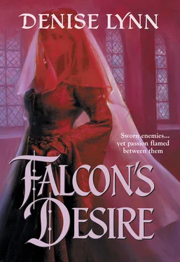 Denise Lynn Falcon's Desire обложка книги