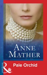 Anne Mather - Pale Orchid