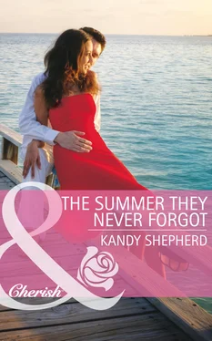 Kandy Shepherd The Summer They Never Forgot обложка книги