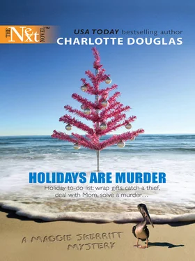 Charlotte Douglas Holidays Are Murder обложка книги