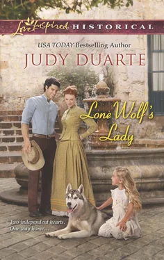 Judy Duarte Lone Wolf's Lady обложка книги