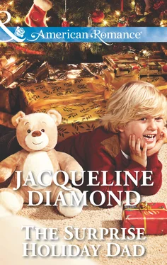 Jacqueline Diamond The Surprise Holiday Dad обложка книги