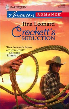 Tina Leonard Crockett's Seduction обложка книги