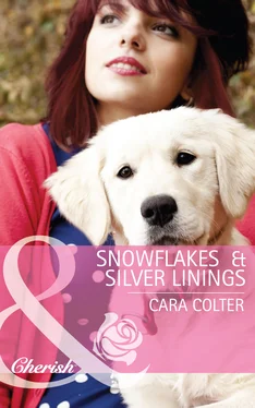 Cara Colter Snowflakes and Silver Linings обложка книги